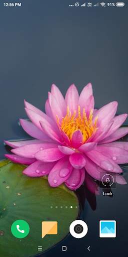 Lotus Wallpaper screenshot 1