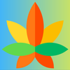 Maconha Brasil icon