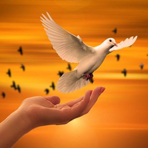 Musica cristiana 2.3