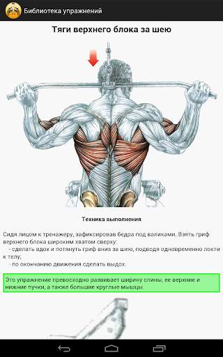 Упражнения для зала скриншот 6
