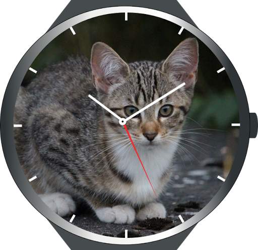 Cats Watch Faces screenshot 8