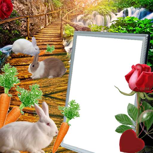 Rabbit Insta DP : Wild Insta DP 5 تصوير الشاشة