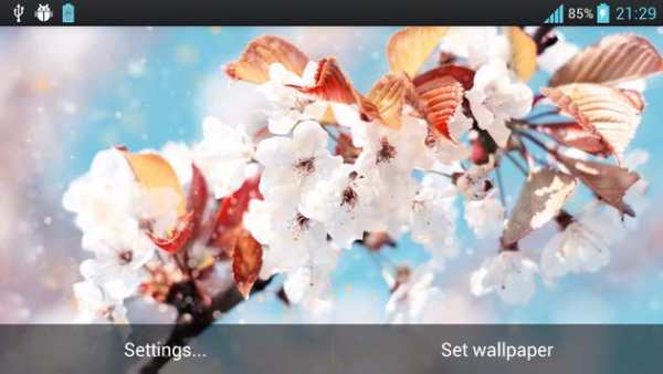 Snow Flower Live Wallpaper स्क्रीनशॉट 4