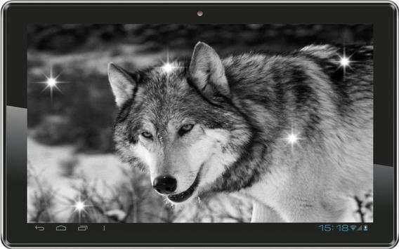 Wolves Voices HD liv wallpaper screenshot 1
