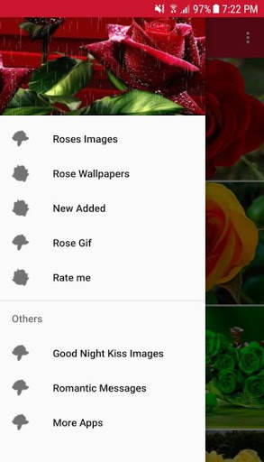 Rose Wallpapers screenshot 1