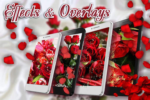 Red Roses Love live wallpaper screenshot 2
