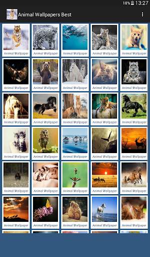 Animal Wallpapers App 🐈🐅🐎 : Animal Background screenshot 9