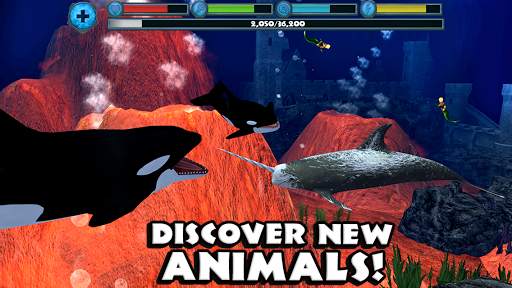 Orca Simulator screenshot 5