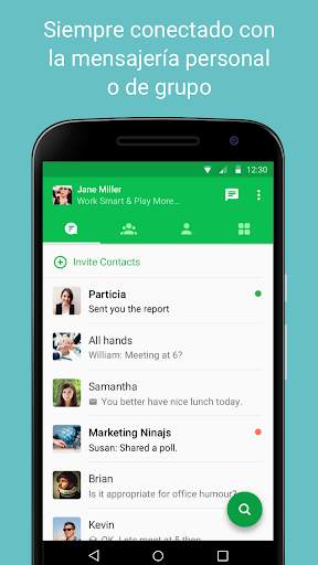Flock screenshot 1