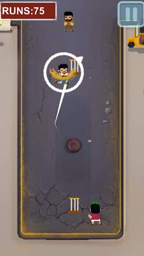 Crazy Cricket screenshot 1