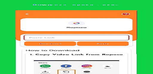 Snapvideo  DownloaderVideo screenshot 2