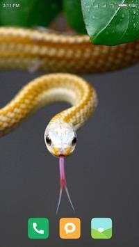 HD Snake Wallpapers screenshot 2