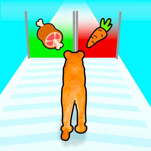 Cat Evolution icon