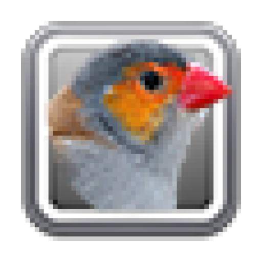 The Sound of Birds 1.0