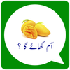 Urdu Dialogue Stickers For WA icon