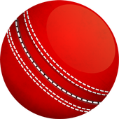 Cricket IPL icon