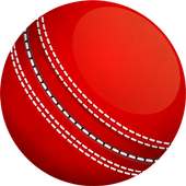 Cricket IPL