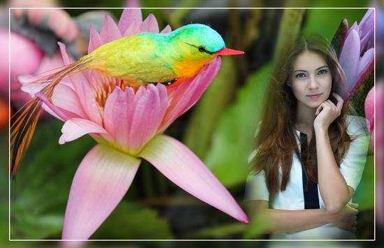 Bird Pic Effect screenshot 2