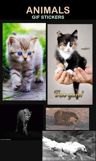 Animal Gif Stickers screenshot 6
