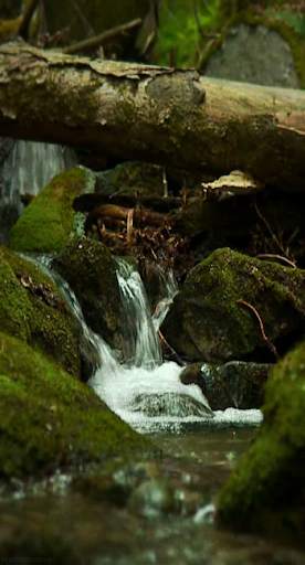 Waterfall Video Live Wallpaper screenshot 6