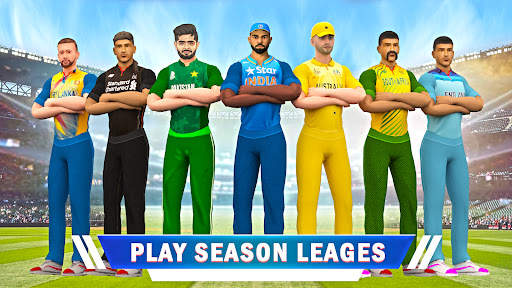 World Cricket Match Game screenshot 1