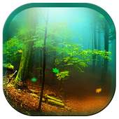 Forest 3D Live Wallpapers 1.0.1