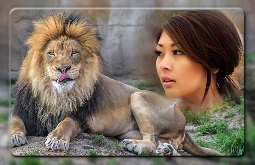 Lion Photo Frames screenshot 4