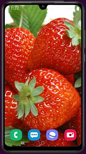 Strawberry Wallpaper Best HD screenshot 9