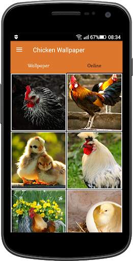 Chicken Wallpaper screenshot 2