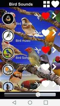 Birds Sounds screenshot 5