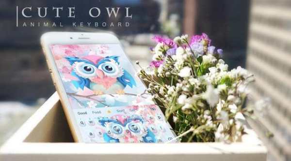 Cute owl animal keyboard screenshot 2