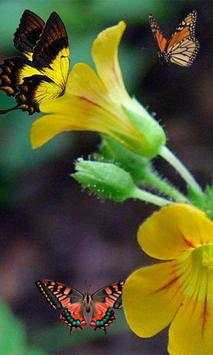 Gesture Lock screen and app lock theme butterfly screenshot 7