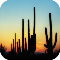 ikon 🌵 Cactus Wallpapers