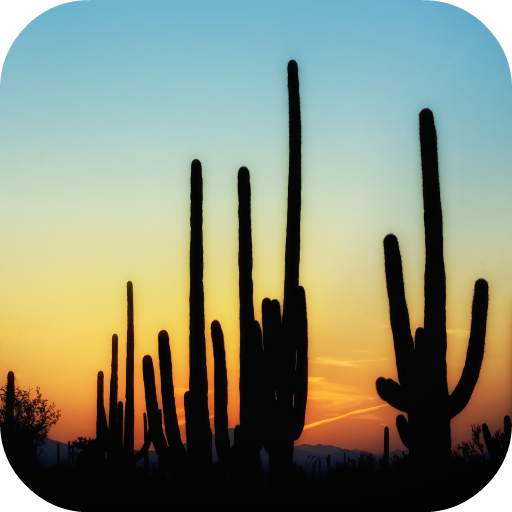 🌵 Cactus Wallpapers 1.0
