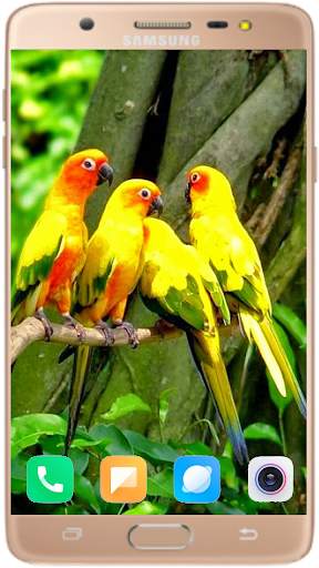 Bird Wallpaper Best HD स्क्रीनशॉट 2