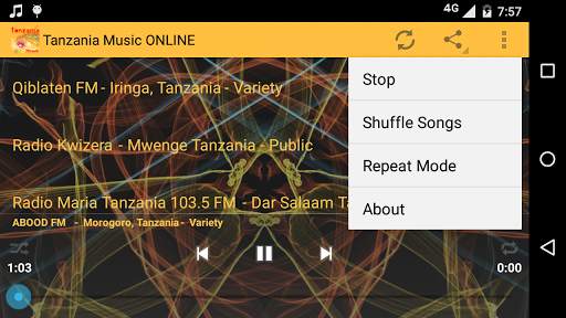Tanzania Music ONLINE screenshot 4
