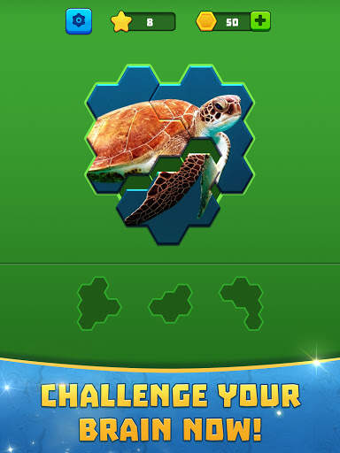 Hex Block Jigsaw screenshot 8