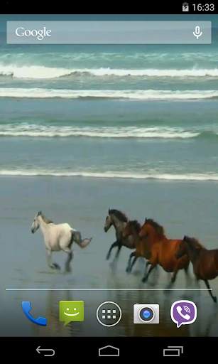 Amazing horses Video LWP screenshot 3