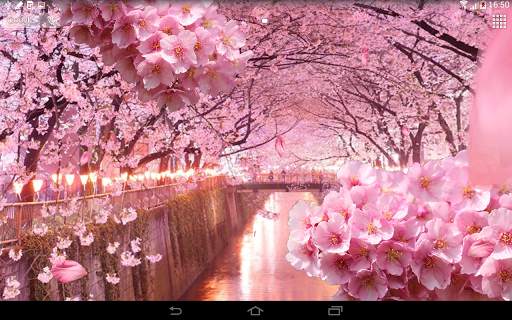 Flowers 3D live wallpaper screenshot 4
