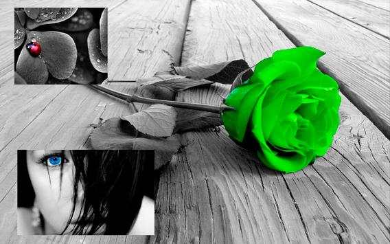 Photo Arts screenshot 6