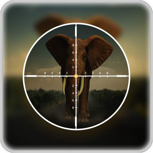 Animal Hunt Sniper Shooting 3D 0.9