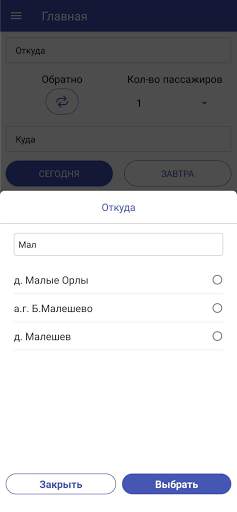 Bus Gomel-Moskva screenshot 4