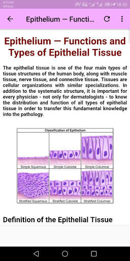 Human Histology screenshot 3