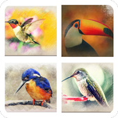 Guess The Bird icon