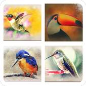 Guess The Bird 4.3.0z