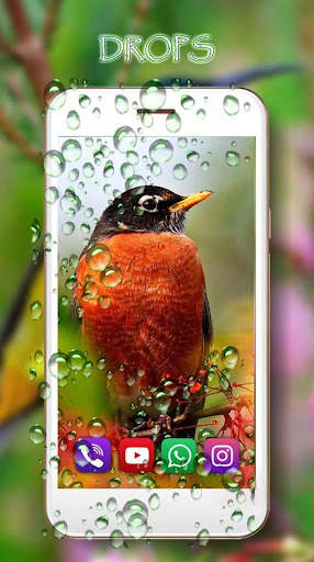 Birds Live Wallpaper screenshot 2
