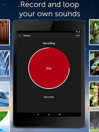 White Noise Lite 8 تصوير الشاشة