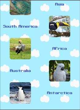 Bird Sounds Bird Puzzle - birds around the world screenshot 4