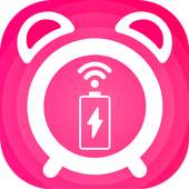 Full Battery Alarm 333