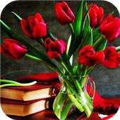 Tulip.Flowers wallpaper 1.0